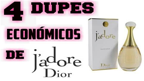 j'adore dior imitacion|J'adore Dior dupe .